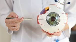 OFTALMOLOGIA - DR RENATO AMBRÓSIO